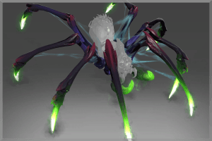 Autographed Limbs of Lycosidae