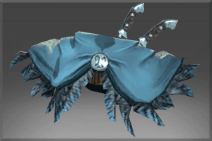 Autographed Penumbral Shawl